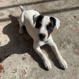 Meet your Posher, Brenda